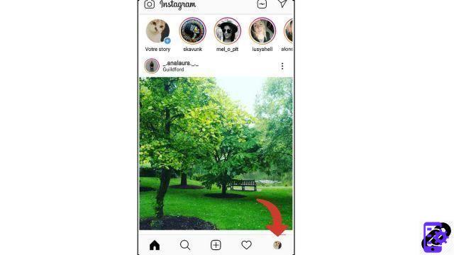 Como usar várias contas no aplicativo Instagram?