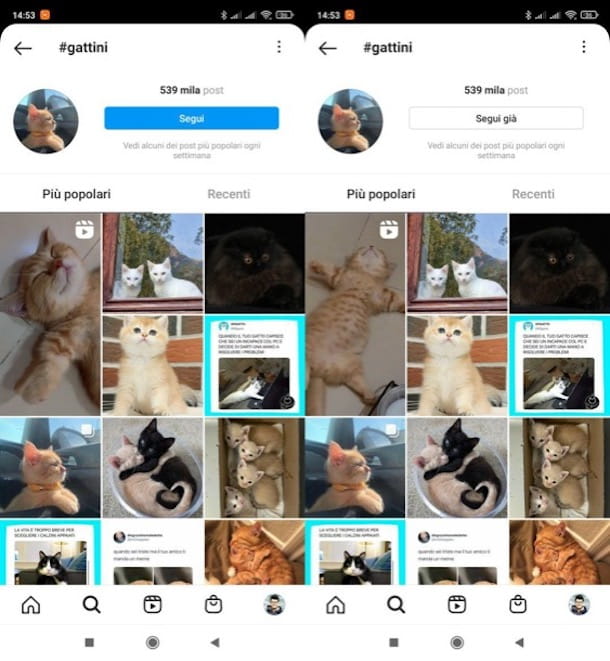 Comment fonctionnent les hashtags sur Instagram