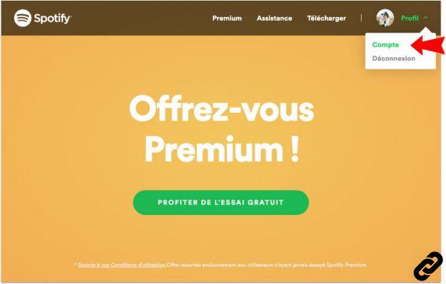 Como alterar ou redefinir sua senha do Spotify?