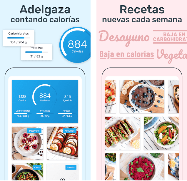 The best apps for counting calories