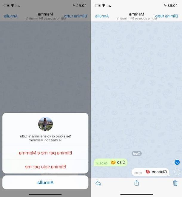 Comment supprimer des messages sur Telegram