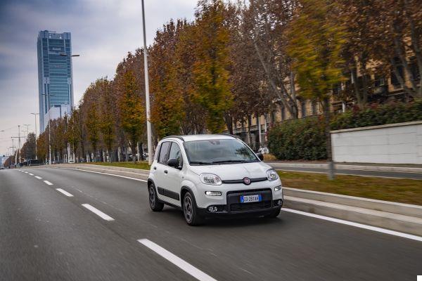 New FIAT Panda 2021: the Sport variant of the car is back but it is ... lukewarm