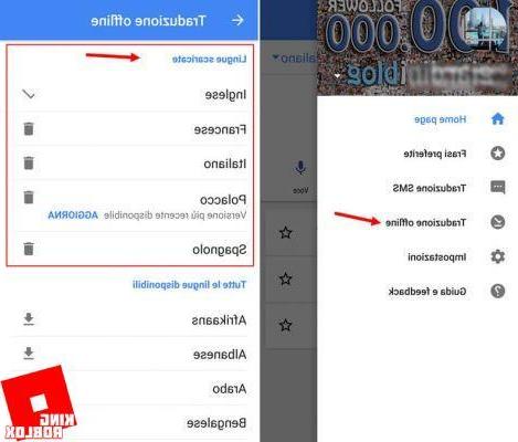 Google Translate: tips and tricks to use it to the fullest