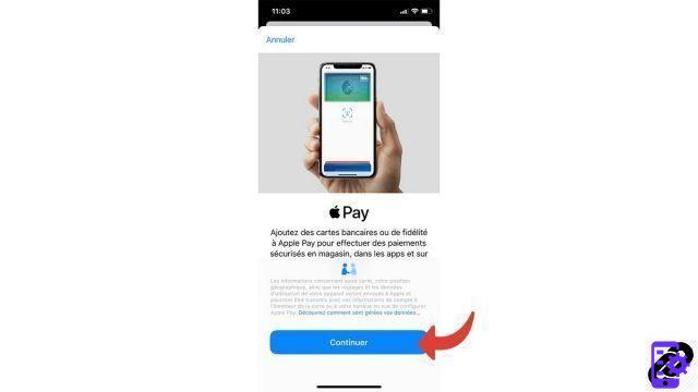 Como configurar o Apple Pay?