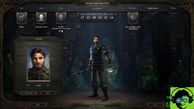 Pillars of Eternity 2: Deadfire - Guide des Classes