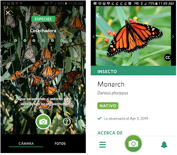 Les meilleures applications pour identifier les animaux