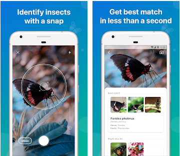 Les meilleures applications pour identifier les animaux