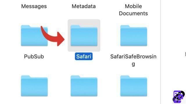 ¿Cómo reinicio Safari?