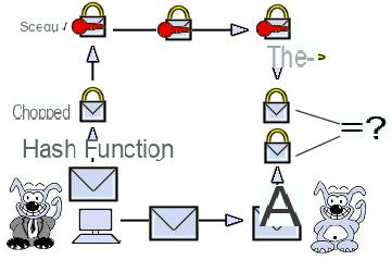 Firma electronica