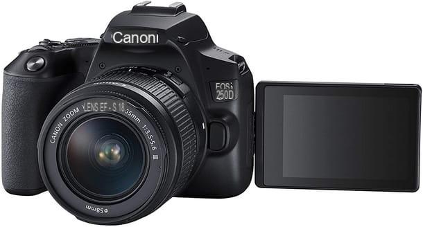 Best Budget Cameras: Buying Guide