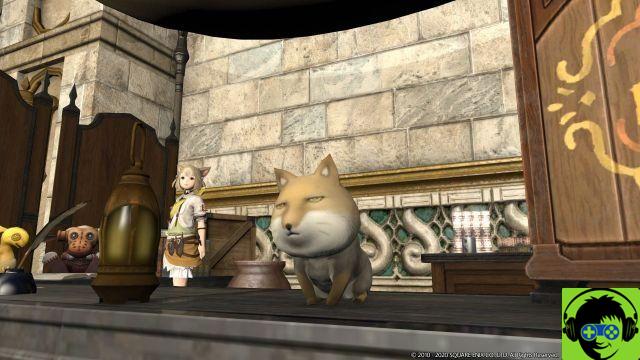 Final Fantasy XIV - Cómo desbloquear falsos huecos, cómo funcionan los falsos huecos