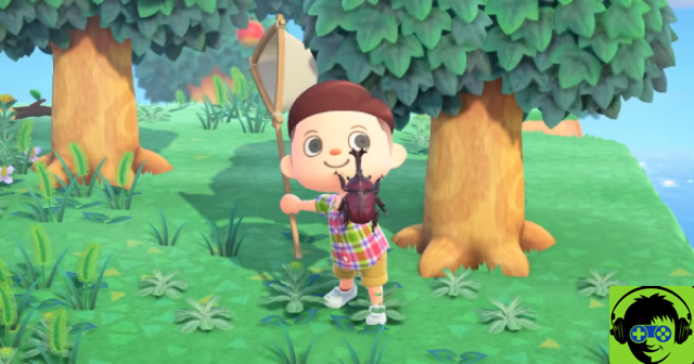 Animal Crossing: New Horizons - Gli insetti più rari, il loro prezzo di vendita e la loro posizione