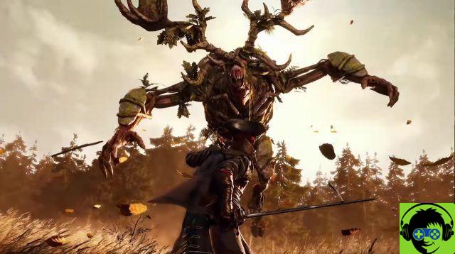 Greedfall: how to find each quest