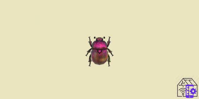 Les insectes à ne pas manquer en septembre dans Animal Crossing : New Horizons