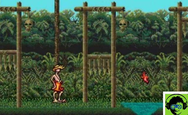 Greendog: Le surfeur échoué! - Astuces et codes Sega Mega Drive