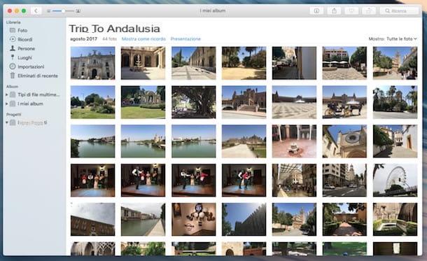 Programs to organize photos