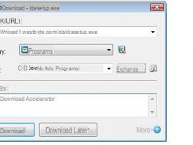 Internet Download Accelerator