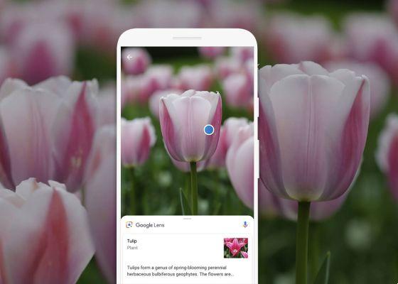 Les meilleures applications qui utilisent l'appareil photo mobile pour ne pas prendre de photos