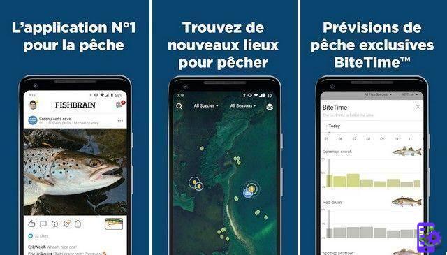 Le 10 migliori app Android per il campeggio