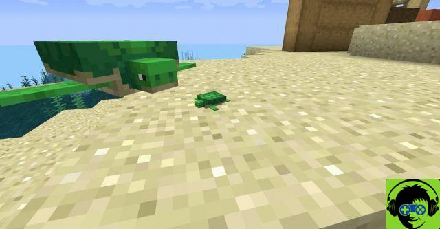 Come allevare le tartarughe in Minecraft