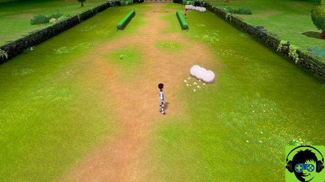 Pokemon Sword and Shield - Cómo completar la misión Turffield Gym