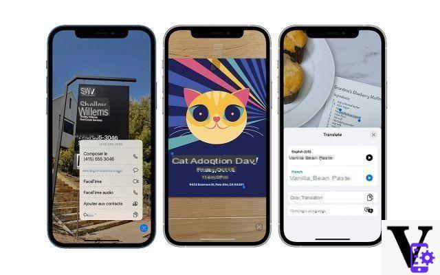 iOS 15: los estudiantes han encontrado la forma de no copiar sus lecciones gracias a una nueva opción en su iPhone