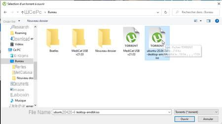 BitTorrent: How to easily download torrents