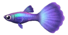 The fish not to be missed in April in Animal Crossing: New Horizons