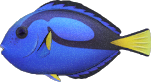 The fish not to be missed in April in Animal Crossing: New Horizons