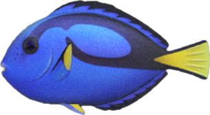 Le poisson à ne pas manquer en avril dans Animal Crossing : New Horizons