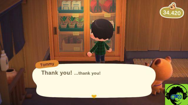 Cómo obtener la receta de bricolaje Wildest Dreams en Animal Crossing: New Horizons