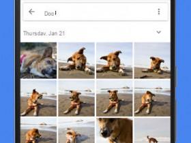 Google Photos