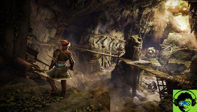 Will Greedfall have a multiplayer option?