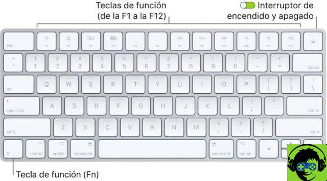 What are the functions of the F1 to F12 keys in Windows?