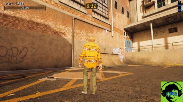 Tutte e 2 le posizioni del Pass scolastico per Tony Hawk's Pro Skater 1 + 2