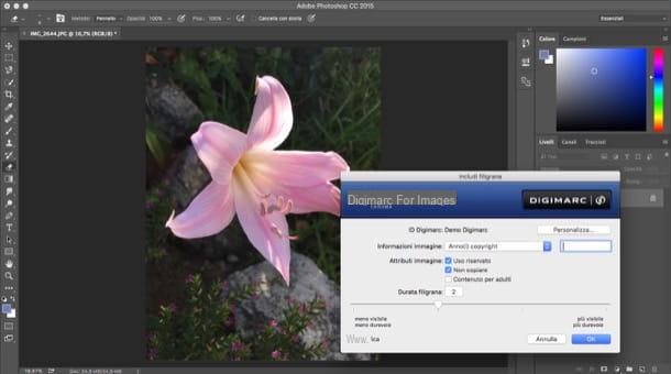 How to sign digital photos