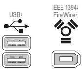 Pass Video from Video Camera to PC -