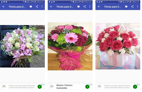 Les meilleures applications pour envoyer des fleurs