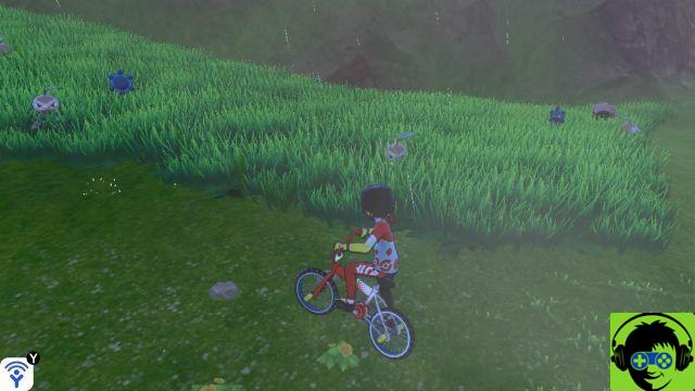 Come ottenere gli IV perfetti (statistiche individuali) in Pokémon Sword and Sheild