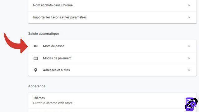 Como visualizar senhas salvas no Google Chrome?