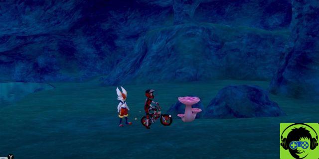 Cómo conseguir más Max Mushrooms y cultivarlos en Pokémon Sword and Shield's Isle of Armor