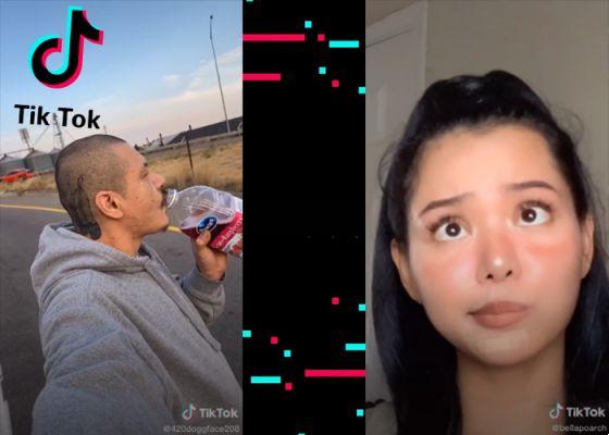 The 5 most viral videos of Tiktok 2020