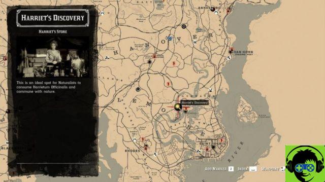 Come trasformare in denaro in Red Dead Online