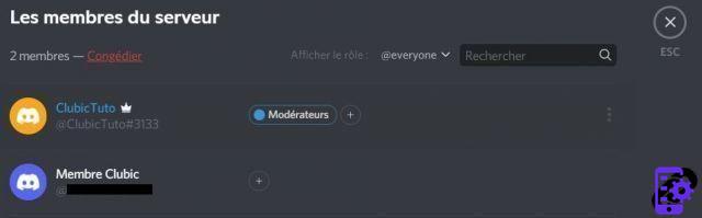 How to assign a role in a Discord server?