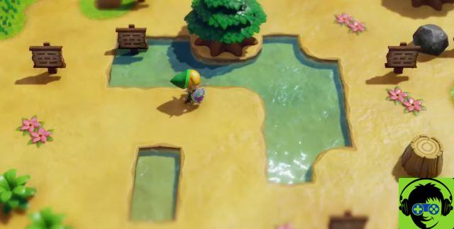 Link's Awakening: Cómo completar el laberinto de paneles