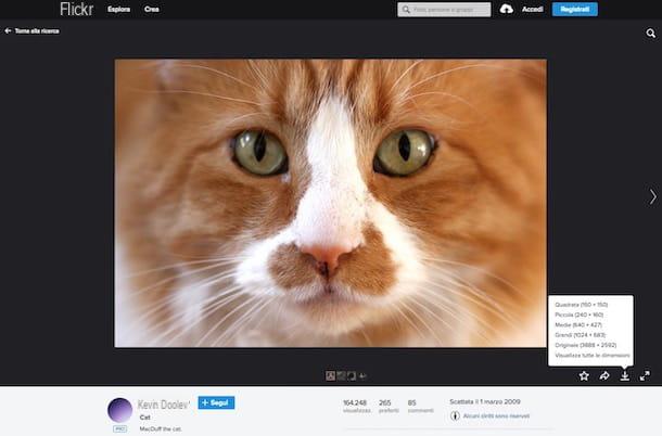 Come scaricare foto da Flickr