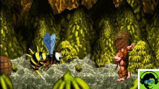 Donkey Kong Country SNES cheats and codes
