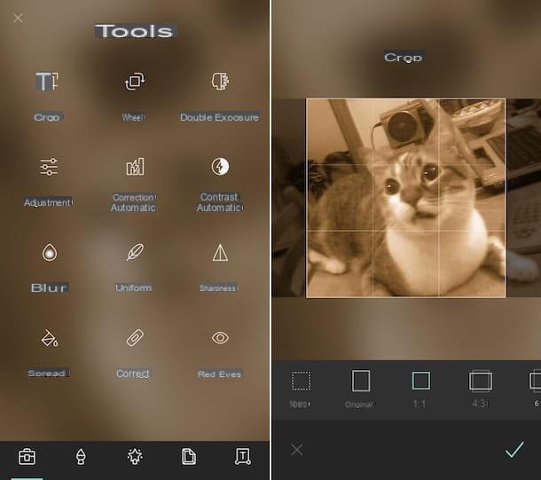 App to cut photos