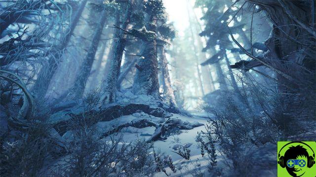 MHW Iceborne: Tutti i campeggi situati nella zona di Hoarfrost