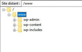 ¿Cómo eliminar un sitio de Wordpress?